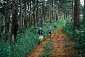 BIB: 
                            <button type="button" onclick="openModal(25659401)" class="btn btn-primary btn-sm float-right btn-popup" data-toggle="modal" data-target=".modal-high-quality">
                        <i class="fas fa-shopping-cart"></i> Add to Cart
                    </button>
                                            <button type="button" onclick="isThisMe(25659401, true)" class="btn btn-success btn-sm float-right btn-popup btn-isme hidden" data-toggle="tooltip" data-placement="bottom" title="นี่คือรูปของคุณใช่ไหม คลิกที่นี่เพื่อเอาเข้าอัลบั้ม">
                        <i class="fas fa-plus"></i> Add to album
                    </button>
                    <button type="button" onclick="isThisMe(25659401, false)" class="btn btn-warning btn-sm float-right btn-popup btn-isnotme hidden">
                        <i class="fas fa-ban"></i> Remove from album
                    </button>